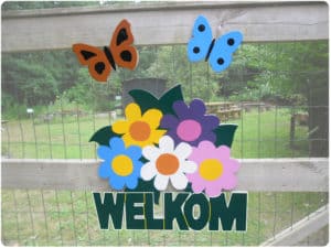 Kindermiddag in IVN Vlindertuin Waalre @ IVN Vlindertuin | Waalre | Noord-Brabant | Nederland
