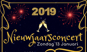 Nieuwjaarsconcert 2019 @ Het Huis van Waalre | Waalre | Noord-Brabant | Nederland